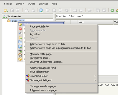 context_menu.png