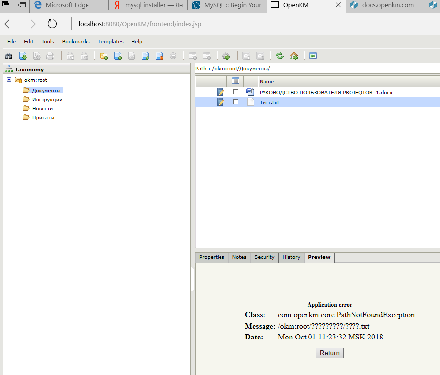 Error in Microsoft Edge.png