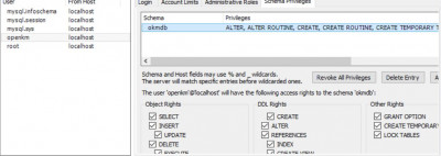 openkm databaseprivilege.JPG