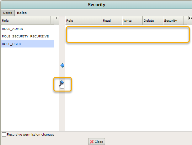 ROLE not showing up on security panel
