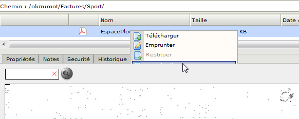 OpenKM - Google Chrome_2011-07-30_09-26-58.png