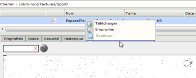 OpenKM - Google Chrome_2011-07-30_09-26-58.png