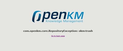 RepositoryException.jpg