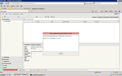 Application internal error screen shot