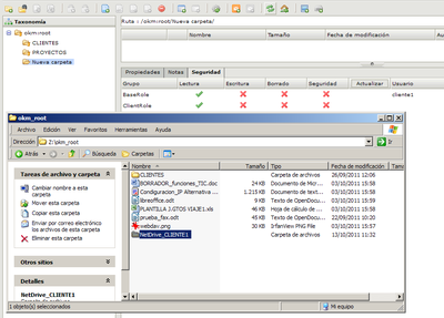 okm_root_netdrive01.png