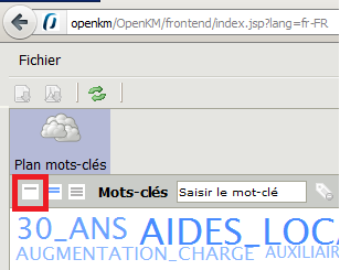 openkmvue.png