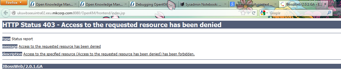 This is how looks like the error page after login.