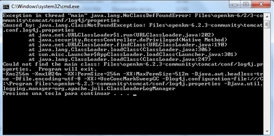 Error generado por el Setup al modificar parámetros del JAVA_OPTS